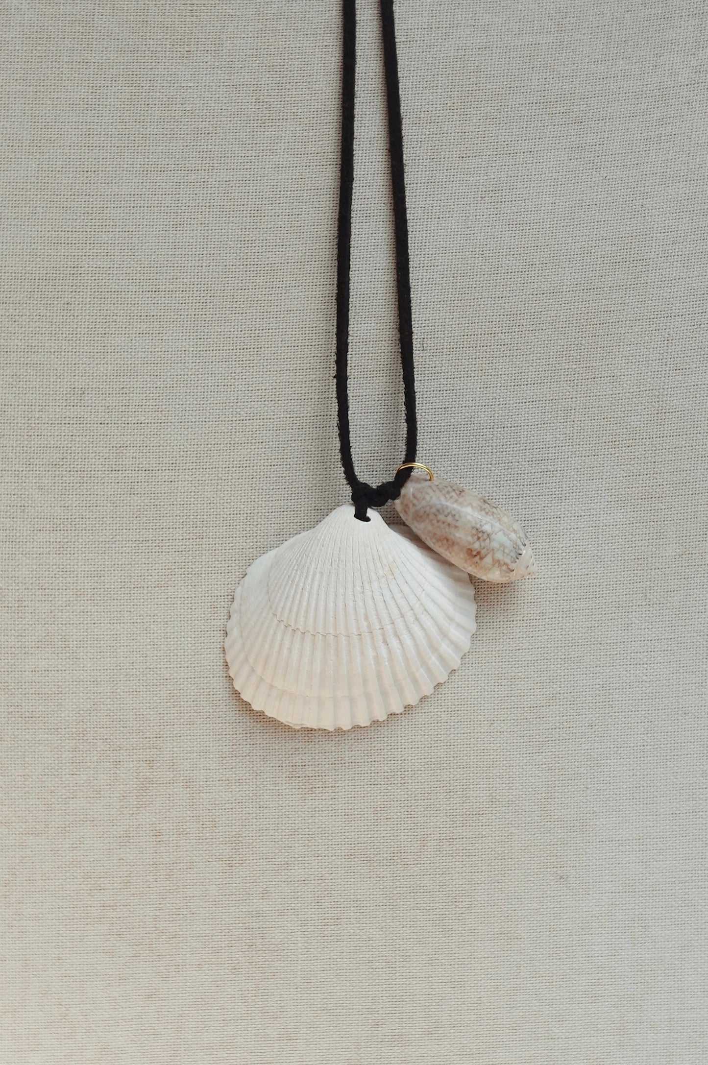relic 004