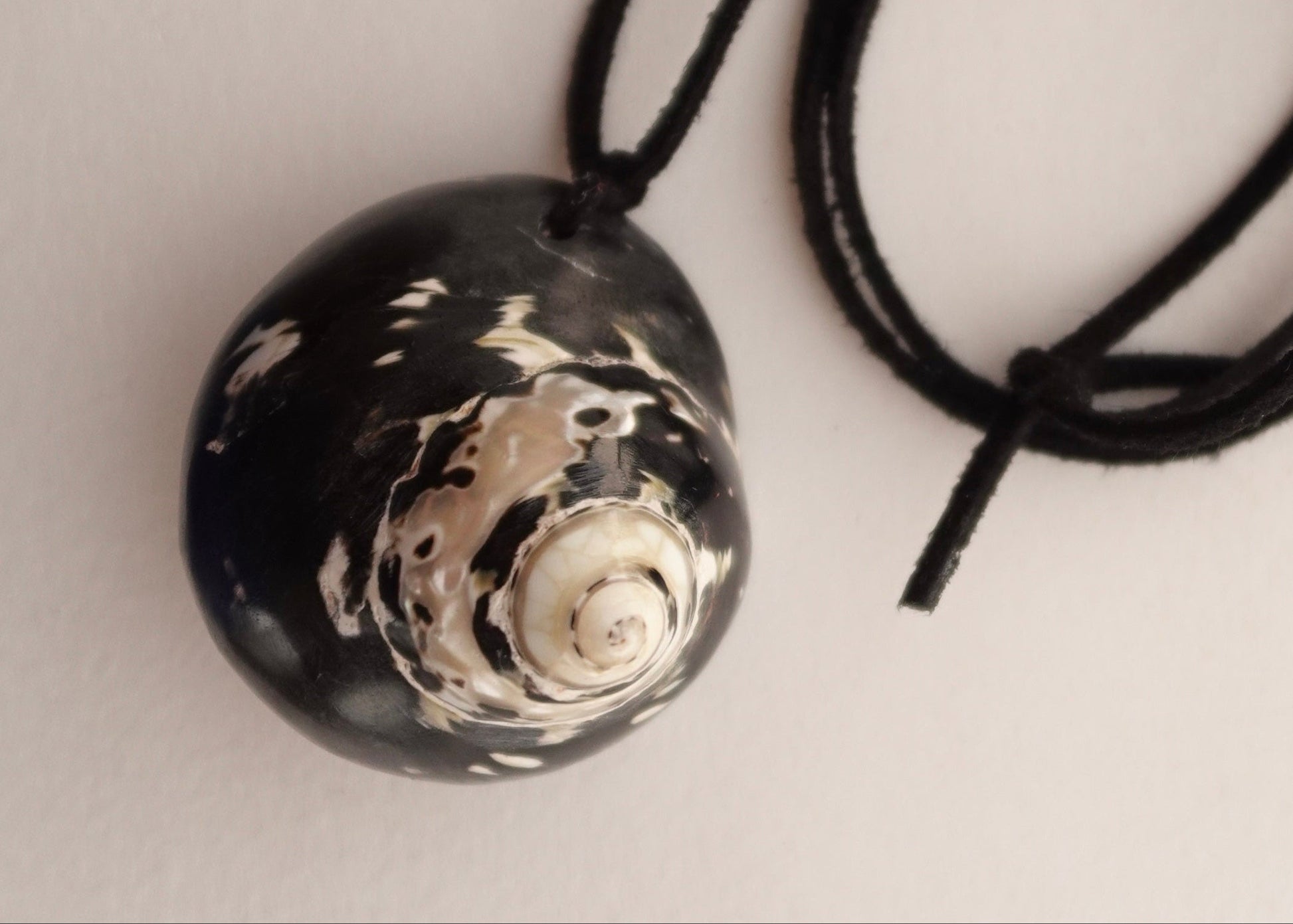 Black and white shell pendant on a black cord against a light gray background