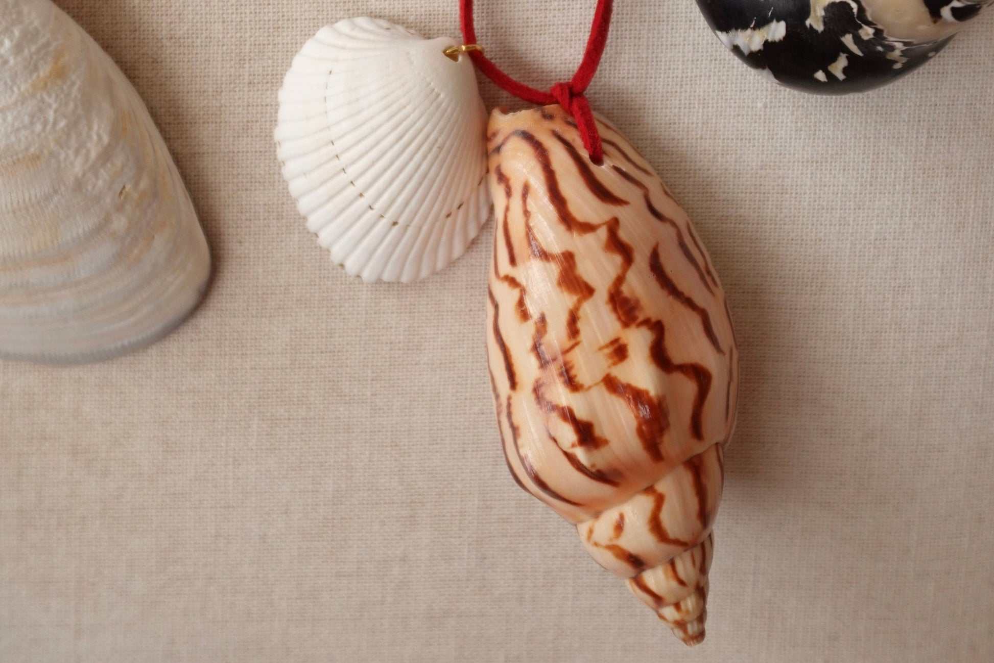 Shell necklaces with red strings on a beige background