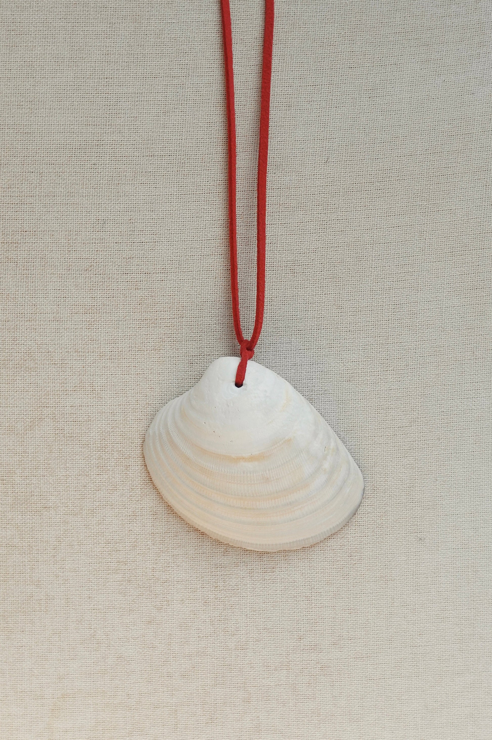 Shell pendant on a red cord against a beige background