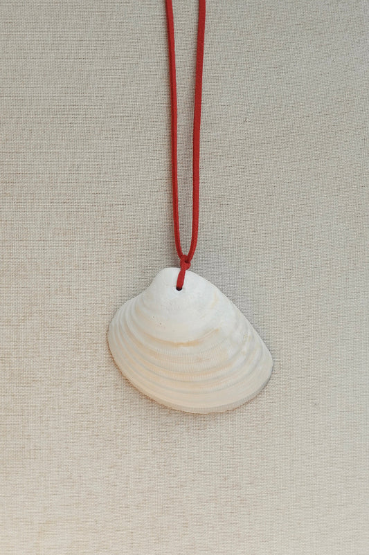 Shell pendant on a red cord against a beige background