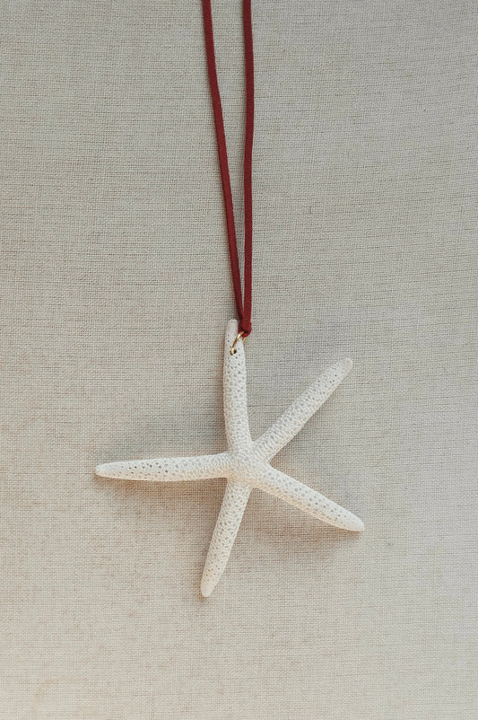 Starfish pendant on a red cord against a beige background